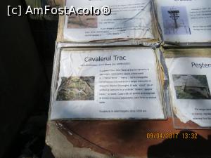 [P37] Câteva informații.  » foto by elviramvio
 - 
<span class="allrVoted glyphicon glyphicon-heart hidden" id="av846039"></span>
<a class="m-l-10 hidden" id="sv846039" onclick="voting_Foto_DelVot(,846039,21781)" role="button">șterge vot <span class="glyphicon glyphicon-remove"></span></a>
<a id="v9846039" class=" c-red"  onclick="voting_Foto_SetVot(846039)" role="button"><span class="glyphicon glyphicon-heart-empty"></span> <b>LIKE</b> = Votează poza</a> <img class="hidden"  id="f846039W9" src="/imagini/loader.gif" border="0" /><span class="AjErrMes hidden" id="e846039ErM"></span>