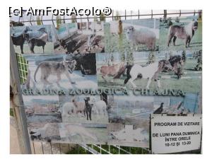 [P06] Program vizitare Grădina Zoo - Chiajna.  » foto by tata123 🔱
 - 
<span class="allrVoted glyphicon glyphicon-heart hidden" id="av846359"></span>
<a class="m-l-10 hidden" id="sv846359" onclick="voting_Foto_DelVot(,846359,21785)" role="button">șterge vot <span class="glyphicon glyphicon-remove"></span></a>
<a id="v9846359" class=" c-red"  onclick="voting_Foto_SetVot(846359)" role="button"><span class="glyphicon glyphicon-heart-empty"></span> <b>LIKE</b> = Votează poza</a> <img class="hidden"  id="f846359W9" src="/imagini/loader.gif" border="0" /><span class="AjErrMes hidden" id="e846359ErM"></span>
