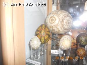 [P22] ou de struţ şi ou de fazan » foto by zlatna
 - 
<span class="allrVoted glyphicon glyphicon-heart hidden" id="av847846"></span>
<a class="m-l-10 hidden" id="sv847846" onclick="voting_Foto_DelVot(,847846,21808)" role="button">șterge vot <span class="glyphicon glyphicon-remove"></span></a>
<a id="v9847846" class=" c-red"  onclick="voting_Foto_SetVot(847846)" role="button"><span class="glyphicon glyphicon-heart-empty"></span> <b>LIKE</b> = Votează poza</a> <img class="hidden"  id="f847846W9" src="/imagini/loader.gif" border="0" /><span class="AjErrMes hidden" id="e847846ErM"></span>