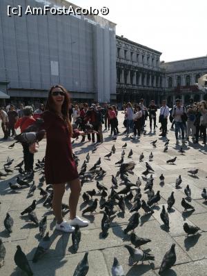[P05] Piata San Marco, la porumbei :)  » foto by bel_lira
 - 
<span class="allrVoted glyphicon glyphicon-heart hidden" id="av847971"></span>
<a class="m-l-10 hidden" id="sv847971" onclick="voting_Foto_DelVot(,847971,21809)" role="button">șterge vot <span class="glyphicon glyphicon-remove"></span></a>
<a id="v9847971" class=" c-red"  onclick="voting_Foto_SetVot(847971)" role="button"><span class="glyphicon glyphicon-heart-empty"></span> <b>LIKE</b> = Votează poza</a> <img class="hidden"  id="f847971W9" src="/imagini/loader.gif" border="0" /><span class="AjErrMes hidden" id="e847971ErM"></span>