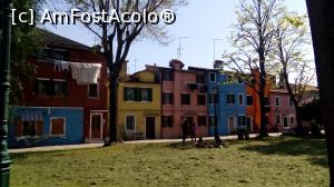[P08] Burano, insula curcubeu » foto by bel_lira
 - 
<span class="allrVoted glyphicon glyphicon-heart hidden" id="av847974"></span>
<a class="m-l-10 hidden" id="sv847974" onclick="voting_Foto_DelVot(,847974,21809)" role="button">șterge vot <span class="glyphicon glyphicon-remove"></span></a>
<a id="v9847974" class=" c-red"  onclick="voting_Foto_SetVot(847974)" role="button"><span class="glyphicon glyphicon-heart-empty"></span> <b>LIKE</b> = Votează poza</a> <img class="hidden"  id="f847974W9" src="/imagini/loader.gif" border="0" /><span class="AjErrMes hidden" id="e847974ErM"></span>