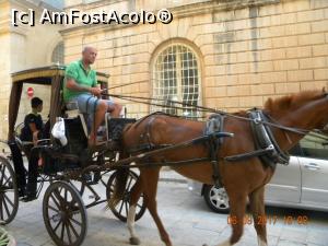 [P15] Mdina » foto by krisstinna
 - 
<span class="allrVoted glyphicon glyphicon-heart hidden" id="av913355"></span>
<a class="m-l-10 hidden" id="sv913355" onclick="voting_Foto_DelVot(,913355,21813)" role="button">șterge vot <span class="glyphicon glyphicon-remove"></span></a>
<a id="v9913355" class=" c-red"  onclick="voting_Foto_SetVot(913355)" role="button"><span class="glyphicon glyphicon-heart-empty"></span> <b>LIKE</b> = Votează poza</a> <img class="hidden"  id="f913355W9" src="/imagini/loader.gif" border="0" /><span class="AjErrMes hidden" id="e913355ErM"></span>