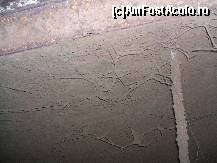 [P06] mucegaiul  are rol important in calitatea vinului spumant » foto by celeste
 - 
<span class="allrVoted glyphicon glyphicon-heart hidden" id="av157186"></span>
<a class="m-l-10 hidden" id="sv157186" onclick="voting_Foto_DelVot(,157186,21822)" role="button">șterge vot <span class="glyphicon glyphicon-remove"></span></a>
<a id="v9157186" class=" c-red"  onclick="voting_Foto_SetVot(157186)" role="button"><span class="glyphicon glyphicon-heart-empty"></span> <b>LIKE</b> = Votează poza</a> <img class="hidden"  id="f157186W9" src="/imagini/loader.gif" border="0" /><span class="AjErrMes hidden" id="e157186ErM"></span>