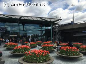 [P01] Iesirea din aeroport » foto by graclari
 - 
<span class="allrVoted glyphicon glyphicon-heart hidden" id="av850603"></span>
<a class="m-l-10 hidden" id="sv850603" onclick="voting_Foto_DelVot(,850603,21835)" role="button">șterge vot <span class="glyphicon glyphicon-remove"></span></a>
<a id="v9850603" class=" c-red"  onclick="voting_Foto_SetVot(850603)" role="button"><span class="glyphicon glyphicon-heart-empty"></span> <b>LIKE</b> = Votează poza</a> <img class="hidden"  id="f850603W9" src="/imagini/loader.gif" border="0" /><span class="AjErrMes hidden" id="e850603ErM"></span>