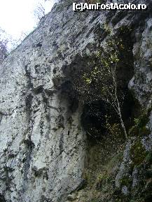 [P11] Polovragi - Cheile Oltetului , vegetatia isi face loc in masivul calcaros al Capatanii » foto by magdalena
 - 
<span class="allrVoted glyphicon glyphicon-heart hidden" id="av169071"></span>
<a class="m-l-10 hidden" id="sv169071" onclick="voting_Foto_DelVot(,169071,21862)" role="button">șterge vot <span class="glyphicon glyphicon-remove"></span></a>
<a id="v9169071" class=" c-red"  onclick="voting_Foto_SetVot(169071)" role="button"><span class="glyphicon glyphicon-heart-empty"></span> <b>LIKE</b> = Votează poza</a> <img class="hidden"  id="f169071W9" src="/imagini/loader.gif" border="0" /><span class="AjErrMes hidden" id="e169071ErM"></span>