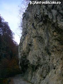 [P12] Polovragi - Cheile Oltetului , strabatand Cheile » foto by magdalena
 - 
<span class="allrVoted glyphicon glyphicon-heart hidden" id="av169072"></span>
<a class="m-l-10 hidden" id="sv169072" onclick="voting_Foto_DelVot(,169072,21862)" role="button">șterge vot <span class="glyphicon glyphicon-remove"></span></a>
<a id="v9169072" class=" c-red"  onclick="voting_Foto_SetVot(169072)" role="button"><span class="glyphicon glyphicon-heart-empty"></span> <b>LIKE</b> = Votează poza</a> <img class="hidden"  id="f169072W9" src="/imagini/loader.gif" border="0" /><span class="AjErrMes hidden" id="e169072ErM"></span>