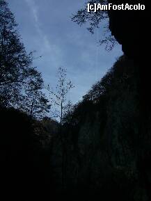 [P15] Polovragi - Cheile Oltetului, un peisaj fabulos » foto by magdalena
 - 
<span class="allrVoted glyphicon glyphicon-heart hidden" id="av169081"></span>
<a class="m-l-10 hidden" id="sv169081" onclick="voting_Foto_DelVot(,169081,21862)" role="button">șterge vot <span class="glyphicon glyphicon-remove"></span></a>
<a id="v9169081" class=" c-red"  onclick="voting_Foto_SetVot(169081)" role="button"><span class="glyphicon glyphicon-heart-empty"></span> <b>LIKE</b> = Votează poza</a> <img class="hidden"  id="f169081W9" src="/imagini/loader.gif" border="0" /><span class="AjErrMes hidden" id="e169081ErM"></span>