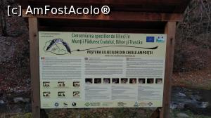 [P12] La pas pe Valea Ampoiței - panou informativ despre Peștera Liliecilor, din Cheile Ampoiței.  » foto by bogumil
 - 
<span class="allrVoted glyphicon glyphicon-heart hidden" id="av727970"></span>
<a class="m-l-10 hidden" id="sv727970" onclick="voting_Foto_DelVot(,727970,21901)" role="button">șterge vot <span class="glyphicon glyphicon-remove"></span></a>
<a id="v9727970" class=" c-red"  onclick="voting_Foto_SetVot(727970)" role="button"><span class="glyphicon glyphicon-heart-empty"></span> <b>LIKE</b> = Votează poza</a> <img class="hidden"  id="f727970W9" src="/imagini/loader.gif" border="0" /><span class="AjErrMes hidden" id="e727970ErM"></span>