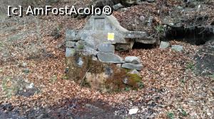 [P16] La pas pe Valea Ampoiței - izvor de munte, prin Cheile Ampoiței.  » foto by bogumil
 - 
<span class="allrVoted glyphicon glyphicon-heart hidden" id="av727974"></span>
<a class="m-l-10 hidden" id="sv727974" onclick="voting_Foto_DelVot(,727974,21901)" role="button">șterge vot <span class="glyphicon glyphicon-remove"></span></a>
<a id="v9727974" class=" c-red"  onclick="voting_Foto_SetVot(727974)" role="button"><span class="glyphicon glyphicon-heart-empty"></span> <b>LIKE</b> = Votează poza</a> <img class="hidden"  id="f727974W9" src="/imagini/loader.gif" border="0" /><span class="AjErrMes hidden" id="e727974ErM"></span>