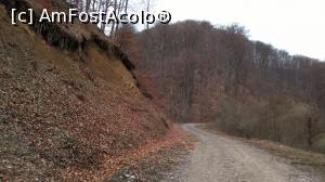 [P22] La pas pe Valea Ampoiței - pe drumuri de munte.  » foto by bogumil
 - 
<span class="allrVoted glyphicon glyphicon-heart hidden" id="av727980"></span>
<a class="m-l-10 hidden" id="sv727980" onclick="voting_Foto_DelVot(,727980,21901)" role="button">șterge vot <span class="glyphicon glyphicon-remove"></span></a>
<a id="v9727980" class=" c-red"  onclick="voting_Foto_SetVot(727980)" role="button"><span class="glyphicon glyphicon-heart-empty"></span> <b>LIKE</b> = Votează poza</a> <img class="hidden"  id="f727980W9" src="/imagini/loader.gif" border="0" /><span class="AjErrMes hidden" id="e727980ErM"></span>