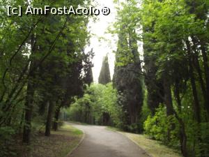 [P35] Sau aşa sunt alte alei din parc » foto by irinad
 - 
<span class="allrVoted glyphicon glyphicon-heart hidden" id="av855179"></span>
<a class="m-l-10 hidden" id="sv855179" onclick="voting_Foto_DelVot(,855179,21906)" role="button">șterge vot <span class="glyphicon glyphicon-remove"></span></a>
<a id="v9855179" class=" c-red"  onclick="voting_Foto_SetVot(855179)" role="button"><span class="glyphicon glyphicon-heart-empty"></span> <b>LIKE</b> = Votează poza</a> <img class="hidden"  id="f855179W9" src="/imagini/loader.gif" border="0" /><span class="AjErrMes hidden" id="e855179ErM"></span>