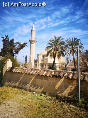 [P11] Moscheea Sultan Tekke » foto by IoDan
 - 
<span class="allrVoted glyphicon glyphicon-heart hidden" id="av1167042"></span>
<a class="m-l-10 hidden" id="sv1167042" onclick="voting_Foto_DelVot(,1167042,21909)" role="button">șterge vot <span class="glyphicon glyphicon-remove"></span></a>
<a id="v91167042" class=" c-red"  onclick="voting_Foto_SetVot(1167042)" role="button"><span class="glyphicon glyphicon-heart-empty"></span> <b>LIKE</b> = Votează poza</a> <img class="hidden"  id="f1167042W9" src="/imagini/loader.gif" border="0" /><span class="AjErrMes hidden" id="e1167042ErM"></span>