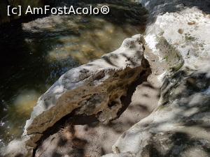 [P13] Străbăt&acirc;nd Cheile Băniței. » foto by Floryn81
 - 
<span class="allrVoted glyphicon glyphicon-heart hidden" id="av1197345"></span>
<a class="m-l-10 hidden" id="sv1197345" onclick="voting_Foto_DelVot(,1197345,21910)" role="button">șterge vot <span class="glyphicon glyphicon-remove"></span></a>
<a id="v91197345" class=" c-red"  onclick="voting_Foto_SetVot(1197345)" role="button"><span class="glyphicon glyphicon-heart-empty"></span> <b>LIKE</b> = Votează poza</a> <img class="hidden"  id="f1197345W9" src="/imagini/loader.gif" border="0" /><span class="AjErrMes hidden" id="e1197345ErM"></span>