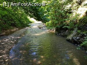 [P17] Prin Cheile Băniței, de la un capăt la celălalt. » foto by Floryn81
 - 
<span class="allrVoted glyphicon glyphicon-heart hidden" id="av1197349"></span>
<a class="m-l-10 hidden" id="sv1197349" onclick="voting_Foto_DelVot(,1197349,21910)" role="button">șterge vot <span class="glyphicon glyphicon-remove"></span></a>
<a id="v91197349" class=" c-red"  onclick="voting_Foto_SetVot(1197349)" role="button"><span class="glyphicon glyphicon-heart-empty"></span> <b>LIKE</b> = Votează poza</a> <img class="hidden"  id="f1197349W9" src="/imagini/loader.gif" border="0" /><span class="AjErrMes hidden" id="e1197349ErM"></span>