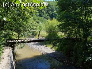 [P23] Ne-am &icirc;ntors la intrarea &icirc;n chei. Tot pe aici am ieșit. » foto by Floryn81
 - 
<span class="allrVoted glyphicon glyphicon-heart hidden" id="av1197355"></span>
<a class="m-l-10 hidden" id="sv1197355" onclick="voting_Foto_DelVot(,1197355,21910)" role="button">șterge vot <span class="glyphicon glyphicon-remove"></span></a>
<a id="v91197355" class=" c-red"  onclick="voting_Foto_SetVot(1197355)" role="button"><span class="glyphicon glyphicon-heart-empty"></span> <b>LIKE</b> = Votează poza</a> <img class="hidden"  id="f1197355W9" src="/imagini/loader.gif" border="0" /><span class="AjErrMes hidden" id="e1197355ErM"></span>