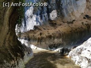 [P09] Mergeam cu atenție prin apă, minun&acirc;ndu-ne de ceea ce se afla &icirc;n jurul nostru. » foto by Floryn81
 - 
<span class="allrVoted glyphicon glyphicon-heart hidden" id="av1197341"></span>
<a class="m-l-10 hidden" id="sv1197341" onclick="voting_Foto_DelVot(,1197341,21910)" role="button">șterge vot <span class="glyphicon glyphicon-remove"></span></a>
<a id="v91197341" class=" c-red"  onclick="voting_Foto_SetVot(1197341)" role="button"><span class="glyphicon glyphicon-heart-empty"></span> <b>LIKE</b> = Votează poza</a> <img class="hidden"  id="f1197341W9" src="/imagini/loader.gif" border="0" /><span class="AjErrMes hidden" id="e1197341ErM"></span>