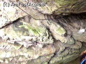 [P10] primele forme concretionare » foto by Dan&Ema
 - 
<span class="allrVoted glyphicon glyphicon-heart hidden" id="av1176508"></span>
<a class="m-l-10 hidden" id="sv1176508" onclick="voting_Foto_DelVot(,1176508,21910)" role="button">șterge vot <span class="glyphicon glyphicon-remove"></span></a>
<a id="v91176508" class=" c-red"  onclick="voting_Foto_SetVot(1176508)" role="button"><span class="glyphicon glyphicon-heart-empty"></span> <b>LIKE</b> = Votează poza</a> <img class="hidden"  id="f1176508W9" src="/imagini/loader.gif" border="0" /><span class="AjErrMes hidden" id="e1176508ErM"></span>