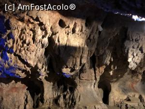 [P26] un rapitor cu gura mare » foto by Dan&Ema
 - 
<span class="allrVoted glyphicon glyphicon-heart hidden" id="av1176529"></span>
<a class="m-l-10 hidden" id="sv1176529" onclick="voting_Foto_DelVot(,1176529,21910)" role="button">șterge vot <span class="glyphicon glyphicon-remove"></span></a>
<a id="v91176529" class=" c-red"  onclick="voting_Foto_SetVot(1176529)" role="button"><span class="glyphicon glyphicon-heart-empty"></span> <b>LIKE</b> = Votează poza</a> <img class="hidden"  id="f1176529W9" src="/imagini/loader.gif" border="0" /><span class="AjErrMes hidden" id="e1176529ErM"></span>