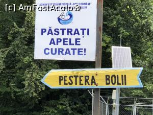 [P03] De aici incepe coborirea pe scari catre intrarea in pestera » foto by Dan&Ema
 - 
<span class="allrVoted glyphicon glyphicon-heart hidden" id="av1176501"></span>
<a class="m-l-10 hidden" id="sv1176501" onclick="voting_Foto_DelVot(,1176501,21910)" role="button">șterge vot <span class="glyphicon glyphicon-remove"></span></a>
<a id="v91176501" class=" c-red"  onclick="voting_Foto_SetVot(1176501)" role="button"><span class="glyphicon glyphicon-heart-empty"></span> <b>LIKE</b> = Votează poza</a> <img class="hidden"  id="f1176501W9" src="/imagini/loader.gif" border="0" /><span class="AjErrMes hidden" id="e1176501ErM"></span>