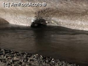 [P34] Pestera Bolii » foto by Dan&Ema
 - 
<span class="allrVoted glyphicon glyphicon-heart hidden" id="av1176537"></span>
<a class="m-l-10 hidden" id="sv1176537" onclick="voting_Foto_DelVot(,1176537,21910)" role="button">șterge vot <span class="glyphicon glyphicon-remove"></span></a>
<a id="v91176537" class=" c-red"  onclick="voting_Foto_SetVot(1176537)" role="button"><span class="glyphicon glyphicon-heart-empty"></span> <b>LIKE</b> = Votează poza</a> <img class="hidden"  id="f1176537W9" src="/imagini/loader.gif" border="0" /><span class="AjErrMes hidden" id="e1176537ErM"></span>