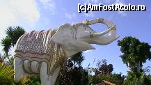 [P02] la intrare ne-a intampinat marele elefant alb » foto by ghecamelia
 - 
<span class="allrVoted glyphicon glyphicon-heart hidden" id="av47270"></span>
<a class="m-l-10 hidden" id="sv47270" onclick="voting_Foto_DelVot(,47270,21925)" role="button">șterge vot <span class="glyphicon glyphicon-remove"></span></a>
<a id="v947270" class=" c-red"  onclick="voting_Foto_SetVot(47270)" role="button"><span class="glyphicon glyphicon-heart-empty"></span> <b>LIKE</b> = Votează poza</a> <img class="hidden"  id="f47270W9" src="/imagini/loader.gif" border="0" /><span class="AjErrMes hidden" id="e47270ErM"></span>