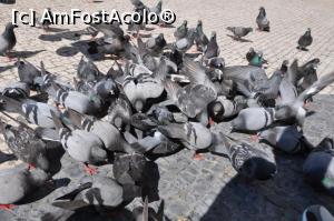 [P14] micul dejun era 4.5 euro si se pare ca era si ieftin si bun de vreme ce avea atatia oaspeti flamanzi.. » foto by alunelu69
 - 
<span class="allrVoted glyphicon glyphicon-heart hidden" id="av856741"></span>
<a class="m-l-10 hidden" id="sv856741" onclick="voting_Foto_DelVot(,856741,21926)" role="button">șterge vot <span class="glyphicon glyphicon-remove"></span></a>
<a id="v9856741" class=" c-red"  onclick="voting_Foto_SetVot(856741)" role="button"><span class="glyphicon glyphicon-heart-empty"></span> <b>LIKE</b> = Votează poza</a> <img class="hidden"  id="f856741W9" src="/imagini/loader.gif" border="0" /><span class="AjErrMes hidden" id="e856741ErM"></span>