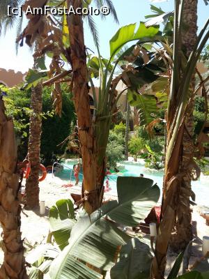 [P28] Lazy river » foto by ioana74
 - 
<span class="allrVoted glyphicon glyphicon-heart hidden" id="av1028541"></span>
<a class="m-l-10 hidden" id="sv1028541" onclick="voting_Foto_DelVot(,1028541,21927)" role="button">șterge vot <span class="glyphicon glyphicon-remove"></span></a>
<a id="v91028541" class=" c-red"  onclick="voting_Foto_SetVot(1028541)" role="button"><span class="glyphicon glyphicon-heart-empty"></span> <b>LIKE</b> = Votează poza</a> <img class="hidden"  id="f1028541W9" src="/imagini/loader.gif" border="0" /><span class="AjErrMes hidden" id="e1028541ErM"></span>