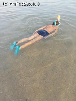 [P38] Ne snorkelim de zor » foto by ioana74
 - 
<span class="allrVoted glyphicon glyphicon-heart hidden" id="av1028557"></span>
<a class="m-l-10 hidden" id="sv1028557" onclick="voting_Foto_DelVot(,1028557,21927)" role="button">șterge vot <span class="glyphicon glyphicon-remove"></span></a>
<a id="v91028557" class=" c-red"  onclick="voting_Foto_SetVot(1028557)" role="button"><span class="glyphicon glyphicon-heart-empty"></span> <b>LIKE</b> = Votează poza</a> <img class="hidden"  id="f1028557W9" src="/imagini/loader.gif" border="0" /><span class="AjErrMes hidden" id="e1028557ErM"></span>