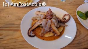 [P09] Hijos del Mar - creveti si caracatita marinate » foto by ascarlat
 - 
<span class="allrVoted glyphicon glyphicon-heart hidden" id="av858972"></span>
<a class="m-l-10 hidden" id="sv858972" onclick="voting_Foto_DelVot(,858972,21966)" role="button">șterge vot <span class="glyphicon glyphicon-remove"></span></a>
<a id="v9858972" class=" c-red"  onclick="voting_Foto_SetVot(858972)" role="button"><span class="glyphicon glyphicon-heart-empty"></span> <b>LIKE</b> = Votează poza</a> <img class="hidden"  id="f858972W9" src="/imagini/loader.gif" border="0" /><span class="AjErrMes hidden" id="e858972ErM"></span>