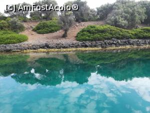 [P05] Lichadonisia - insula Magnolia » foto by Cris
 - 
<span class="allrVoted glyphicon glyphicon-heart hidden" id="av860180"></span>
<a class="m-l-10 hidden" id="sv860180" onclick="voting_Foto_DelVot(,860180,21989)" role="button">șterge vot <span class="glyphicon glyphicon-remove"></span></a>
<a id="v9860180" class=" c-red"  onclick="voting_Foto_SetVot(860180)" role="button"><span class="glyphicon glyphicon-heart-empty"></span> <b>LIKE</b> = Votează poza</a> <img class="hidden"  id="f860180W9" src="/imagini/loader.gif" border="0" /><span class="AjErrMes hidden" id="e860180ErM"></span>
