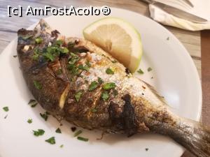 [P35] La Paglia Antica Trattoria » foto by crismis
 - 
<span class="allrVoted glyphicon glyphicon-heart hidden" id="av1125172"></span>
<a class="m-l-10 hidden" id="sv1125172" onclick="voting_Foto_DelVot(,1125172,22049)" role="button">șterge vot <span class="glyphicon glyphicon-remove"></span></a>
<a id="v91125172" class=" c-red"  onclick="voting_Foto_SetVot(1125172)" role="button"><span class="glyphicon glyphicon-heart-empty"></span> <b>LIKE</b> = Votează poza</a> <img class="hidden"  id="f1125172W9" src="/imagini/loader.gif" border="0" /><span class="AjErrMes hidden" id="e1125172ErM"></span>