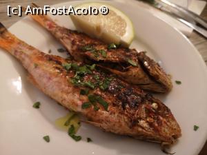 [P36] La Paglia Antica Trattoria » foto by crismis
 - 
<span class="allrVoted glyphicon glyphicon-heart hidden" id="av1125173"></span>
<a class="m-l-10 hidden" id="sv1125173" onclick="voting_Foto_DelVot(,1125173,22049)" role="button">șterge vot <span class="glyphicon glyphicon-remove"></span></a>
<a id="v91125173" class=" c-red"  onclick="voting_Foto_SetVot(1125173)" role="button"><span class="glyphicon glyphicon-heart-empty"></span> <b>LIKE</b> = Votează poza</a> <img class="hidden"  id="f1125173W9" src="/imagini/loader.gif" border="0" /><span class="AjErrMes hidden" id="e1125173ErM"></span>