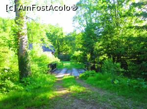 [P16] Casa de peste rau, efectiv in mijlocul naturii...  » foto by vulpe mihaela
 - 
<span class="allrVoted glyphicon glyphicon-heart hidden" id="av863896"></span>
<a class="m-l-10 hidden" id="sv863896" onclick="voting_Foto_DelVot(,863896,22054)" role="button">șterge vot <span class="glyphicon glyphicon-remove"></span></a>
<a id="v9863896" class=" c-red"  onclick="voting_Foto_SetVot(863896)" role="button"><span class="glyphicon glyphicon-heart-empty"></span> <b>LIKE</b> = Votează poza</a> <img class="hidden"  id="f863896W9" src="/imagini/loader.gif" border="0" /><span class="AjErrMes hidden" id="e863896ErM"></span>