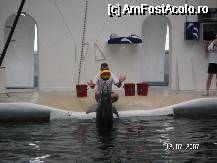 [P02] numarul cu mingea,unul deosebit. » foto by Traveller
 - 
<span class="allrVoted glyphicon glyphicon-heart hidden" id="av47671"></span>
<a class="m-l-10 hidden" id="sv47671" onclick="voting_Foto_DelVot(,47671,22105)" role="button">șterge vot <span class="glyphicon glyphicon-remove"></span></a>
<a id="v947671" class=" c-red"  onclick="voting_Foto_SetVot(47671)" role="button"><span class="glyphicon glyphicon-heart-empty"></span> <b>LIKE</b> = Votează poza</a> <img class="hidden"  id="f47671W9" src="/imagini/loader.gif" border="0" /><span class="AjErrMes hidden" id="e47671ErM"></span>