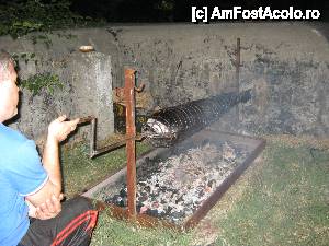 [P34] A fost preparat pentru proțap cu condiment și portocale și admirat de toți cei din jur » foto by Dabator
 - 
<span class="allrVoted glyphicon glyphicon-heart hidden" id="av504749"></span>
<a class="m-l-10 hidden" id="sv504749" onclick="voting_Foto_DelVot(,504749,22108)" role="button">șterge vot <span class="glyphicon glyphicon-remove"></span></a>
<a id="v9504749" class=" c-red"  onclick="voting_Foto_SetVot(504749)" role="button"><span class="glyphicon glyphicon-heart-empty"></span> <b>LIKE</b> = Votează poza</a> <img class="hidden"  id="f504749W9" src="/imagini/loader.gif" border="0" /><span class="AjErrMes hidden" id="e504749ErM"></span>