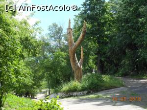 [P28] Calafat - Vedere din parc.  » foto by iulianic
 - 
<span class="allrVoted glyphicon glyphicon-heart hidden" id="av978906"></span>
<a class="m-l-10 hidden" id="sv978906" onclick="voting_Foto_DelVot(,978906,22108)" role="button">șterge vot <span class="glyphicon glyphicon-remove"></span></a>
<a id="v9978906" class=" c-red"  onclick="voting_Foto_SetVot(978906)" role="button"><span class="glyphicon glyphicon-heart-empty"></span> <b>LIKE</b> = Votează poza</a> <img class="hidden"  id="f978906W9" src="/imagini/loader.gif" border="0" /><span class="AjErrMes hidden" id="e978906ErM"></span>