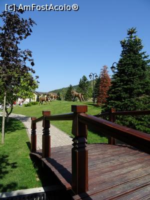 [P15] Parcul „Poiana lui Căliman”. » foto by tata123 🔱
 - 
<span class="allrVoted glyphicon glyphicon-heart hidden" id="av1187497"></span>
<a class="m-l-10 hidden" id="sv1187497" onclick="voting_Foto_DelVot(,1187497,22122)" role="button">șterge vot <span class="glyphicon glyphicon-remove"></span></a>
<a id="v91187497" class=" c-red"  onclick="voting_Foto_SetVot(1187497)" role="button"><span class="glyphicon glyphicon-heart-empty"></span> <b>LIKE</b> = Votează poza</a> <img class="hidden"  id="f1187497W9" src="/imagini/loader.gif" border="0" /><span class="AjErrMes hidden" id="e1187497ErM"></span>