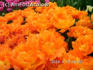 [P21]  -- <small>// FĂRĂ DESCRIERE</small> » foto by ALINAMD
 - 
<span class="allrVoted glyphicon glyphicon-heart hidden" id="av936431"></span>
<a class="m-l-10 hidden" id="sv936431" onclick="voting_Foto_DelVot(,936431,22126)" role="button">șterge vot <span class="glyphicon glyphicon-remove"></span></a>
<a id="v9936431" class=" c-red"  onclick="voting_Foto_SetVot(936431)" role="button"><span class="glyphicon glyphicon-heart-empty"></span> <b>LIKE</b> = Votează poza</a> <img class="hidden"  id="f936431W9" src="/imagini/loader.gif" border="0" /><span class="AjErrMes hidden" id="e936431ErM"></span>