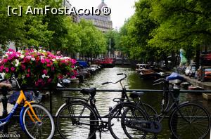 [P14] barcute in Amsterdam » foto by georgiana27
 - 
<span class="allrVoted glyphicon glyphicon-heart hidden" id="av881070"></span>
<a class="m-l-10 hidden" id="sv881070" onclick="voting_Foto_DelVot(,881070,22126)" role="button">șterge vot <span class="glyphicon glyphicon-remove"></span></a>
<a id="v9881070" class=" c-red"  onclick="voting_Foto_SetVot(881070)" role="button"><span class="glyphicon glyphicon-heart-empty"></span> <b>LIKE</b> = Votează poza</a> <img class="hidden"  id="f881070W9" src="/imagini/loader.gif" border="0" /><span class="AjErrMes hidden" id="e881070ErM"></span>