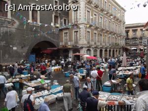 [P24] Un colţ din vestita de peşte din Catania » foto by irinad
 - 
<span class="allrVoted glyphicon glyphicon-heart hidden" id="av869949"></span>
<a class="m-l-10 hidden" id="sv869949" onclick="voting_Foto_DelVot(,869949,22133)" role="button">șterge vot <span class="glyphicon glyphicon-remove"></span></a>
<a id="v9869949" class=" c-red"  onclick="voting_Foto_SetVot(869949)" role="button"><span class="glyphicon glyphicon-heart-empty"></span> <b>LIKE</b> = Votează poza</a> <img class="hidden"  id="f869949W9" src="/imagini/loader.gif" border="0" /><span class="AjErrMes hidden" id="e869949ErM"></span>