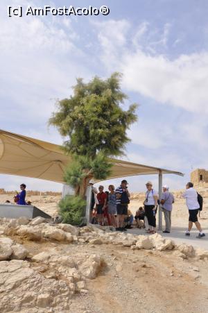 [P09] Un mic popas la umbra - Cetatea Masada – ultimul refugiu al rezistenței antiromane a iudeilor.  » foto by Diaura*
 - 
<span class="allrVoted glyphicon glyphicon-heart hidden" id="av1059555"></span>
<a class="m-l-10 hidden" id="sv1059555" onclick="voting_Foto_DelVot(,1059555,22151)" role="button">șterge vot <span class="glyphicon glyphicon-remove"></span></a>
<a id="v91059555" class=" c-red"  onclick="voting_Foto_SetVot(1059555)" role="button"><span class="glyphicon glyphicon-heart-empty"></span> <b>LIKE</b> = Votează poza</a> <img class="hidden"  id="f1059555W9" src="/imagini/loader.gif" border="0" /><span class="AjErrMes hidden" id="e1059555ErM"></span>
