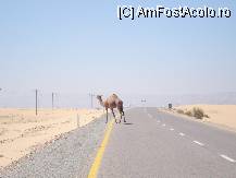 [P21] participanta la trafic » foto by Diaura*
 - 
<span class="allrVoted glyphicon glyphicon-heart hidden" id="av30872"></span>
<a class="m-l-10 hidden" id="sv30872" onclick="voting_Foto_DelVot(,30872,22155)" role="button">șterge vot <span class="glyphicon glyphicon-remove"></span></a>
<a id="v930872" class=" c-red"  onclick="voting_Foto_SetVot(30872)" role="button"><span class="glyphicon glyphicon-heart-empty"></span> <b>LIKE</b> = Votează poza</a> <img class="hidden"  id="f30872W9" src="/imagini/loader.gif" border="0" /><span class="AjErrMes hidden" id="e30872ErM"></span>