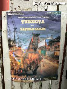 [P01] Tudorita sau Pastele Cailor, Targoviste 2009 » foto by cristinadumitru*
 - 
<span class="allrVoted glyphicon glyphicon-heart hidden" id="av20549"></span>
<a class="m-l-10 hidden" id="sv20549" onclick="voting_Foto_DelVot(,20549,22158)" role="button">șterge vot <span class="glyphicon glyphicon-remove"></span></a>
<a id="v920549" class=" c-red"  onclick="voting_Foto_SetVot(20549)" role="button"><span class="glyphicon glyphicon-heart-empty"></span> <b>LIKE</b> = Votează poza</a> <img class="hidden"  id="f20549W9" src="/imagini/loader.gif" border="0" /><span class="AjErrMes hidden" id="e20549ErM"></span>