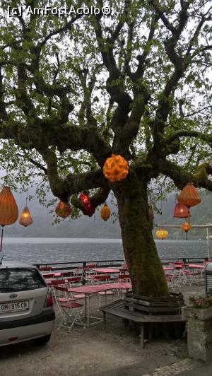 [P03] Hallstatt » foto by catalinioan
 - 
<span class="allrVoted glyphicon glyphicon-heart hidden" id="av871880"></span>
<a class="m-l-10 hidden" id="sv871880" onclick="voting_Foto_DelVot(,871880,22175)" role="button">șterge vot <span class="glyphicon glyphicon-remove"></span></a>
<a id="v9871880" class=" c-red"  onclick="voting_Foto_SetVot(871880)" role="button"><span class="glyphicon glyphicon-heart-empty"></span> <b>LIKE</b> = Votează poza</a> <img class="hidden"  id="f871880W9" src="/imagini/loader.gif" border="0" /><span class="AjErrMes hidden" id="e871880ErM"></span>