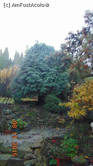 [P07]  -- <small>// FĂRĂ DESCRIERE</small> » foto by catalinioan
 - 
<span class="allrVoted glyphicon glyphicon-heart hidden" id="av871907"></span>
<a class="m-l-10 hidden" id="sv871907" onclick="voting_Foto_DelVot(,871907,22179)" role="button">șterge vot <span class="glyphicon glyphicon-remove"></span></a>
<a id="v9871907" class=" c-red"  onclick="voting_Foto_SetVot(871907)" role="button"><span class="glyphicon glyphicon-heart-empty"></span> <b>LIKE</b> = Votează poza</a> <img class="hidden"  id="f871907W9" src="/imagini/loader.gif" border="0" /><span class="AjErrMes hidden" id="e871907ErM"></span>