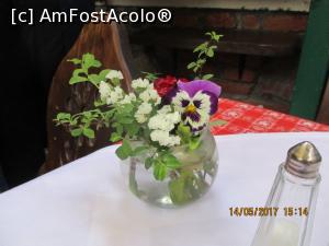 [P09] Fiecare masa avea flori proaspete.  » foto by elviramvio
 - 
<span class="allrVoted glyphicon glyphicon-heart hidden" id="av873780"></span>
<a class="m-l-10 hidden" id="sv873780" onclick="voting_Foto_DelVot(,873780,22215)" role="button">șterge vot <span class="glyphicon glyphicon-remove"></span></a>
<a id="v9873780" class=" c-red"  onclick="voting_Foto_SetVot(873780)" role="button"><span class="glyphicon glyphicon-heart-empty"></span> <b>LIKE</b> = Votează poza</a> <img class="hidden"  id="f873780W9" src="/imagini/loader.gif" border="0" /><span class="AjErrMes hidden" id="e873780ErM"></span>