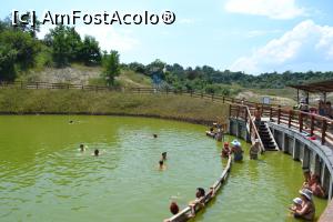 [P03] Lacul rotund » foto by AZE
 - 
<span class="allrVoted glyphicon glyphicon-heart hidden" id="av763637"></span>
<a class="m-l-10 hidden" id="sv763637" onclick="voting_Foto_DelVot(,763637,22229)" role="button">șterge vot <span class="glyphicon glyphicon-remove"></span></a>
<a id="v9763637" class=" c-red"  onclick="voting_Foto_SetVot(763637)" role="button"><span class="glyphicon glyphicon-heart-empty"></span> <b>LIKE</b> = Votează poza</a> <img class="hidden"  id="f763637W9" src="/imagini/loader.gif" border="0" /><span class="AjErrMes hidden" id="e763637ErM"></span>