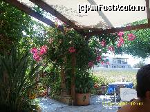 [P11] Taverna Neraida, flori si leandri » foto by raduu1972
 - 
<span class="allrVoted glyphicon glyphicon-heart hidden" id="av149033"></span>
<a class="m-l-10 hidden" id="sv149033" onclick="voting_Foto_DelVot(,149033,22238)" role="button">șterge vot <span class="glyphicon glyphicon-remove"></span></a>
<a id="v9149033" class=" c-red"  onclick="voting_Foto_SetVot(149033)" role="button"><span class="glyphicon glyphicon-heart-empty"></span> <b>LIKE</b> = Votează poza</a> <img class="hidden"  id="f149033W9" src="/imagini/loader.gif" border="0" /><span class="AjErrMes hidden" id="e149033ErM"></span>