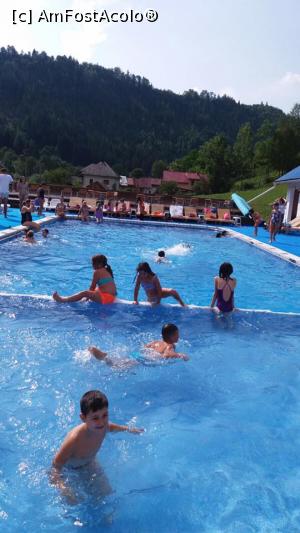 [P02] Pentru un pret redus, de 10 lei, puradeii nostri s-au balacit toate dupa-amiezele in piscina de langa Steaua Ariesului. Ni s-a pus si microbuz la dispozitie, dar am preferat sa mergem pe jos!  » foto by pintilii
 - 
<span class="allrVoted glyphicon glyphicon-heart hidden" id="av959640"></span>
<a class="m-l-10 hidden" id="sv959640" onclick="voting_Foto_DelVot(,959640,22250)" role="button">șterge vot <span class="glyphicon glyphicon-remove"></span></a>
<a id="v9959640" class=" c-red"  onclick="voting_Foto_SetVot(959640)" role="button"><span class="glyphicon glyphicon-heart-empty"></span> <b>LIKE</b> = Votează poza</a> <img class="hidden"  id="f959640W9" src="/imagini/loader.gif" border="0" /><span class="AjErrMes hidden" id="e959640ErM"></span>