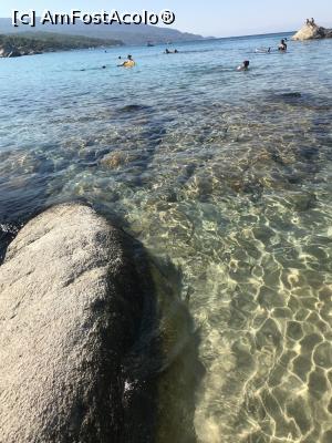 [P34] Apa mării, Orange Beach » foto by krisstinna
 - 
<span class="allrVoted glyphicon glyphicon-heart hidden" id="av1029927"></span>
<a class="m-l-10 hidden" id="sv1029927" onclick="voting_Foto_DelVot(,1029927,22254)" role="button">șterge vot <span class="glyphicon glyphicon-remove"></span></a>
<a id="v91029927" class=" c-red"  onclick="voting_Foto_SetVot(1029927)" role="button"><span class="glyphicon glyphicon-heart-empty"></span> <b>LIKE</b> = Votează poza</a> <img class="hidden"  id="f1029927W9" src="/imagini/loader.gif" border="0" /><span class="AjErrMes hidden" id="e1029927ErM"></span>